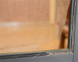 Windows and Patio Doors Re-Screened